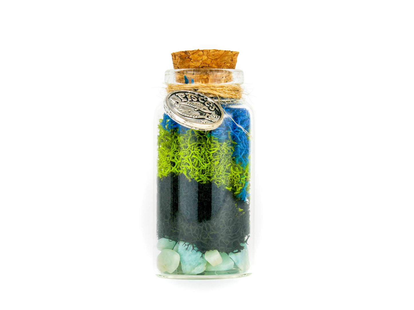 Pisces Terrarium