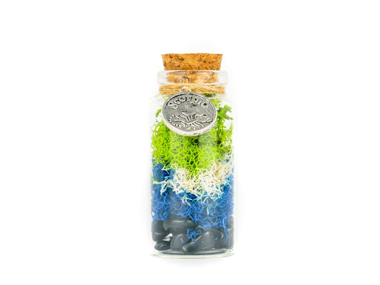 Scorpio Terrarium