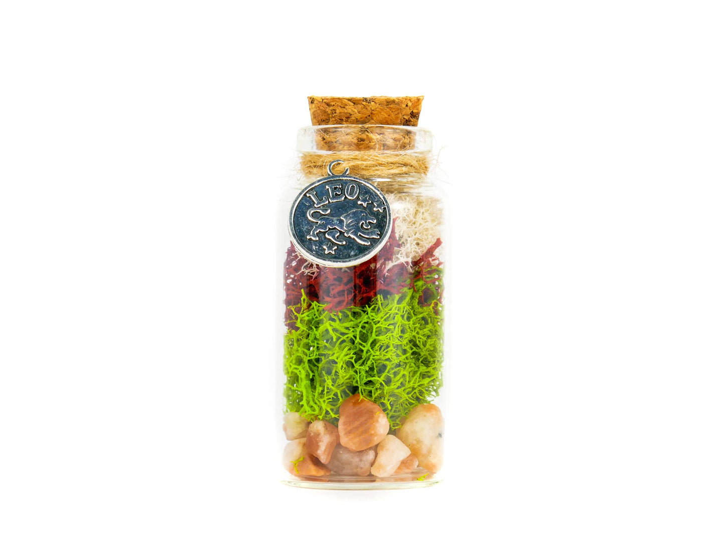 Leo Terrarium