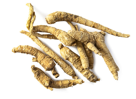 Ginseng