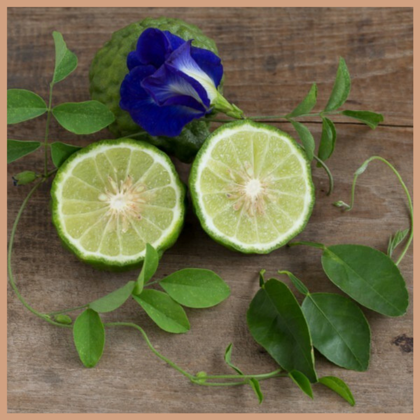 Bergamot and Patchouli Fragrance Oil