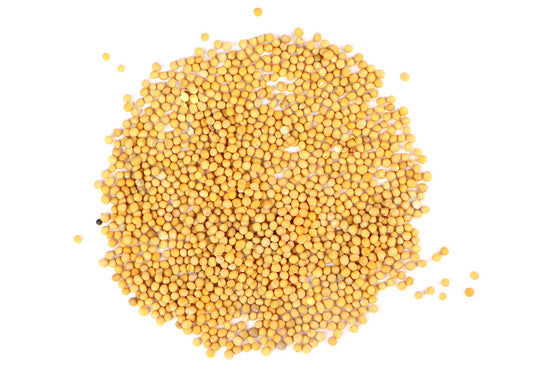 Mustard Seed, Yellow